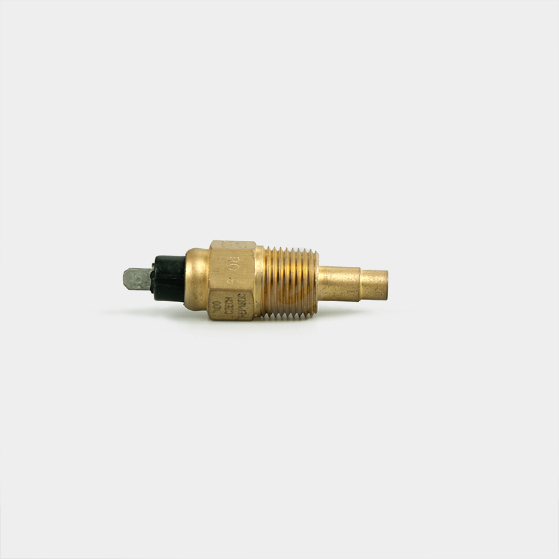 Mechanical 2 Pin ESSW-09 Water Temperature Sensor for Automotive 